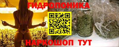 сатива Пенза