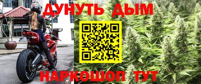 ГАЛЛЮЦИНОГЕННЫЕ ГРИБЫ Пугачёв