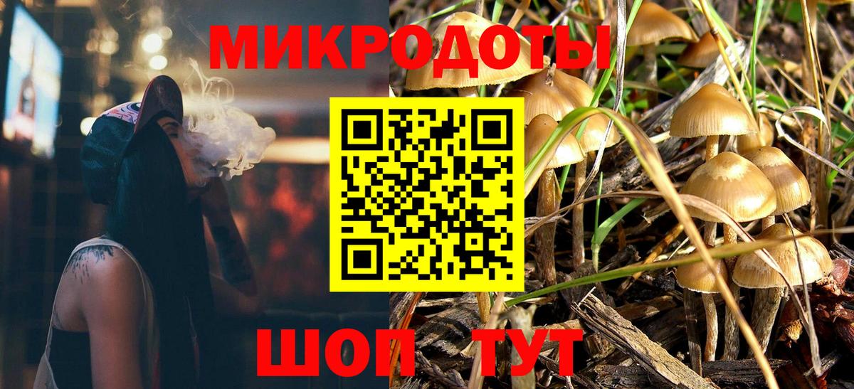Галлюциногенные грибы MAGIC MUSHROOMS  Вход с VPN  Пугачёв  Псилоцибиновые грибы Psilocybe 