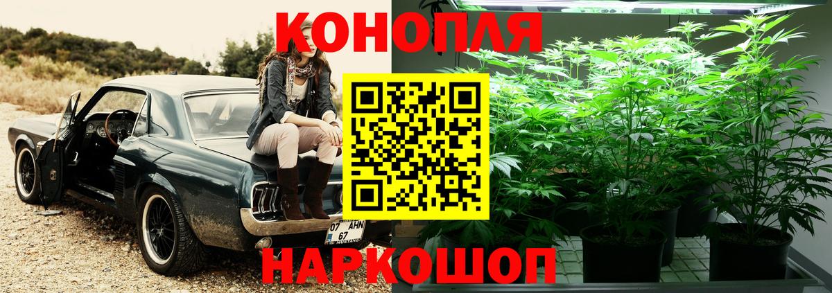 Конопля Bruce Banner  Марихуана VHQ  Пугачёв  Конопля LSD WEED  Вход с VPN 